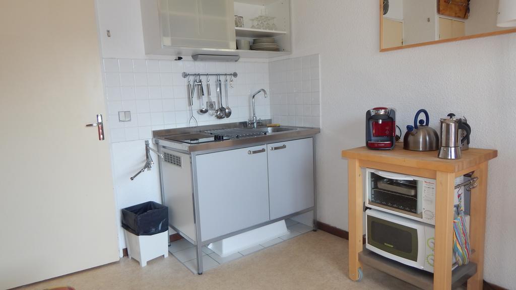 Studio Ski Apartment لو دوز آلب المظهر الخارجي الصورة