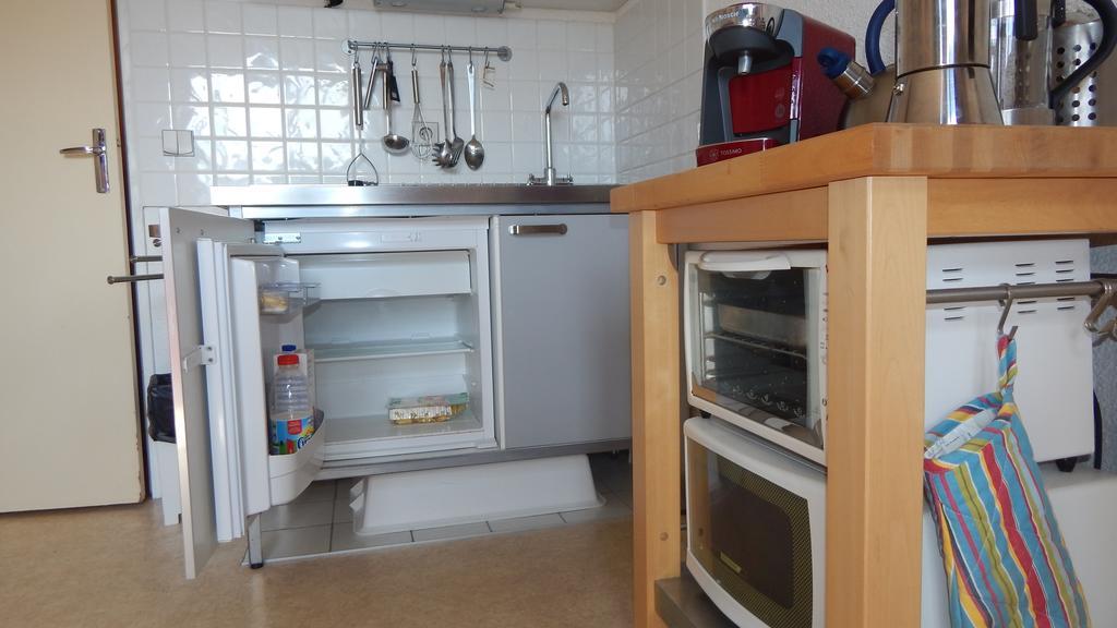 Studio Ski Apartment لو دوز آلب المظهر الخارجي الصورة